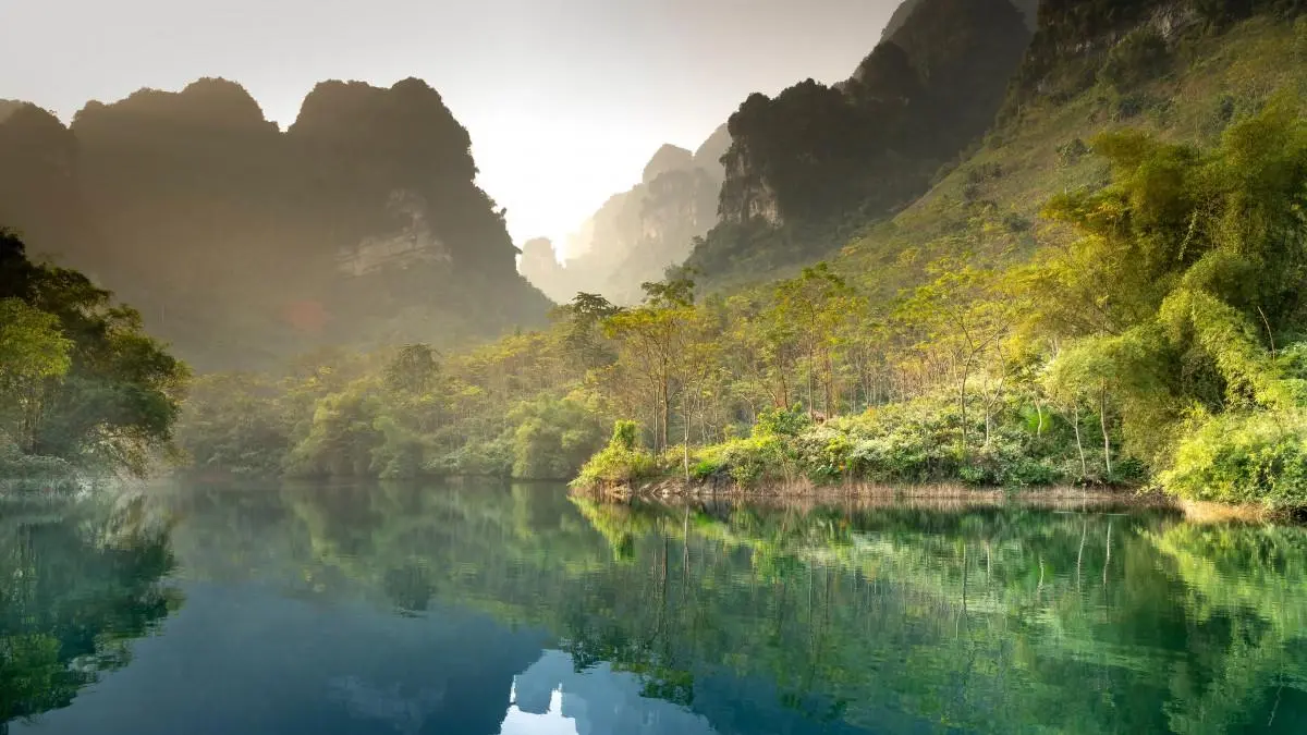 节能高效高质量